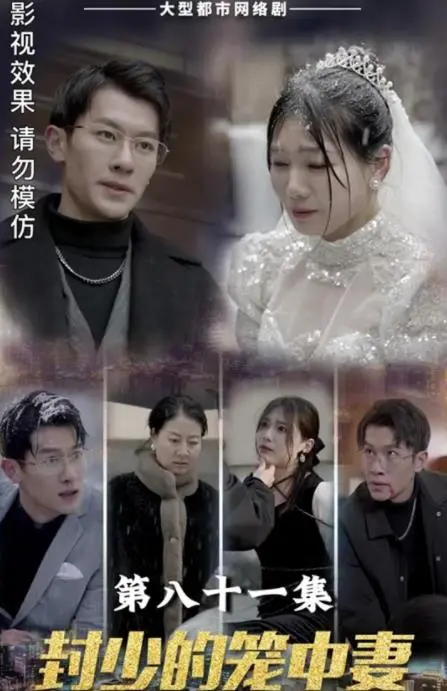 封少的笼中妻 海报