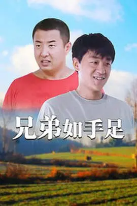 《兄弟如手足》：一场笑中带泪的亲情史诗，关于爱、责任与永恒的羁绊