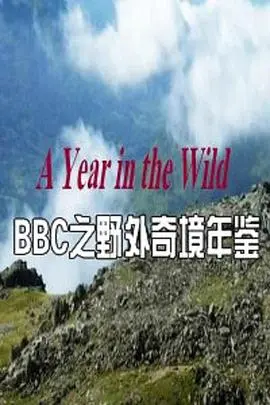 《野外奇境年鉴》：探索自然秘境，感受生命的奉献与担当，一部令人惊叹的纪录片！