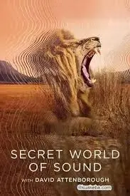 《大卫·艾登堡：大自然的声音》：听世界低语，沉浸式体验地球生命脉搏