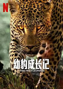 《幼豹成长记》：这小奶豹也太能折腾了！看完我直接笑出猪叫！