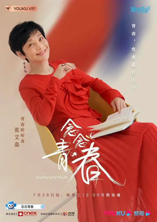 念念青春 海报